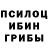 Галлюциногенные грибы мицелий Rosa Nalbandyan