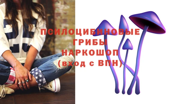 дурь Инсар