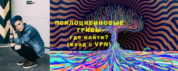 дурь Инсар