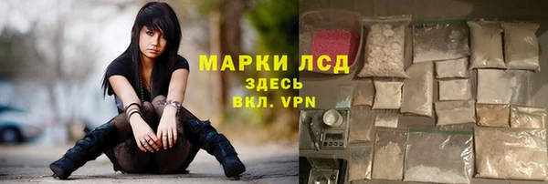 амф Инта