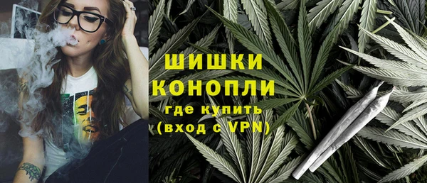 дживик Иннополис