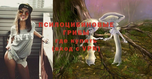 дурь Инсар