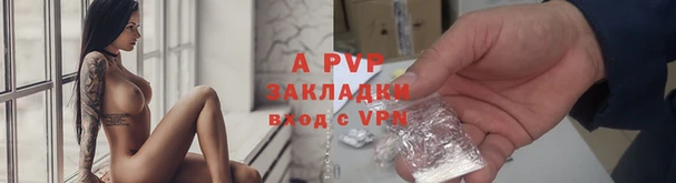 дурь Инсар