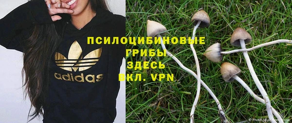 дурь Инсар