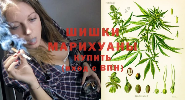 амф Инта
