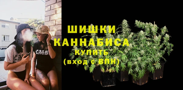 дурь Инсар