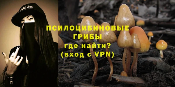 амф Инта