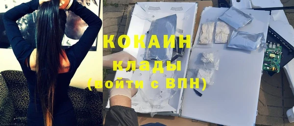 дживик Иннополис
