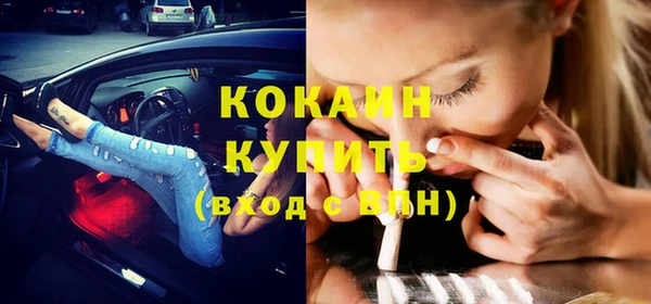 дурь Инсар